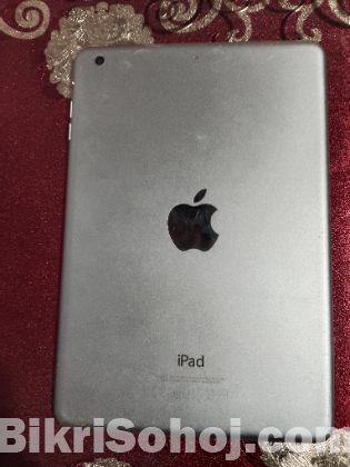 ipad mini2